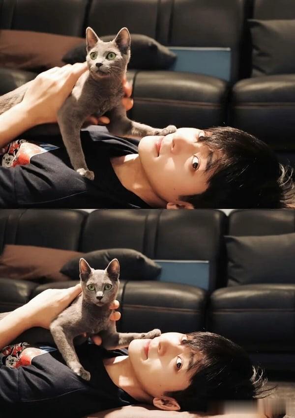 丞磊6件事!被封横店浴王,私底下是猫奴,新剧搭白鹿、宋轶