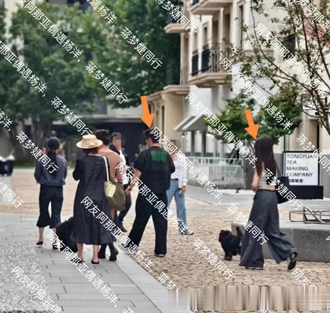 网友阿那亚偶遇杨洋,蒋梦婕同行,两人是好友合作过新版红楼梦