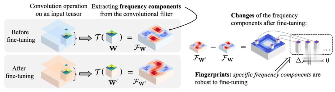 把指纹焊死在频率上:抗微调神经网络指纹的硬核方案来了