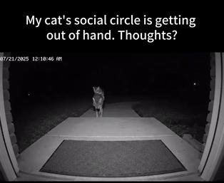 不止萌兔蹦迪，貍花貓豎中指，吃奶嬰兒開飛機，魔性AI視頻讓人停不下來