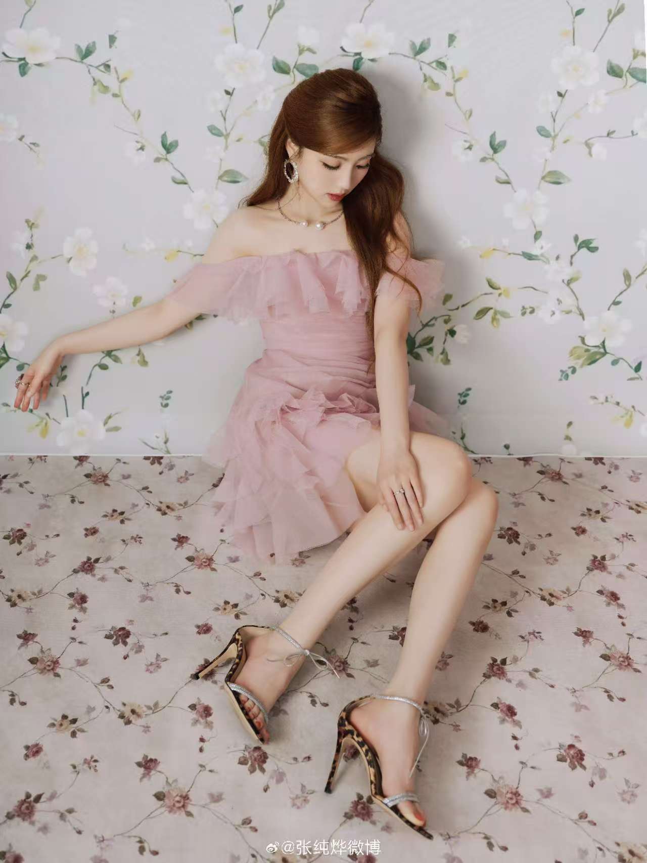 张纯烨的极品美足