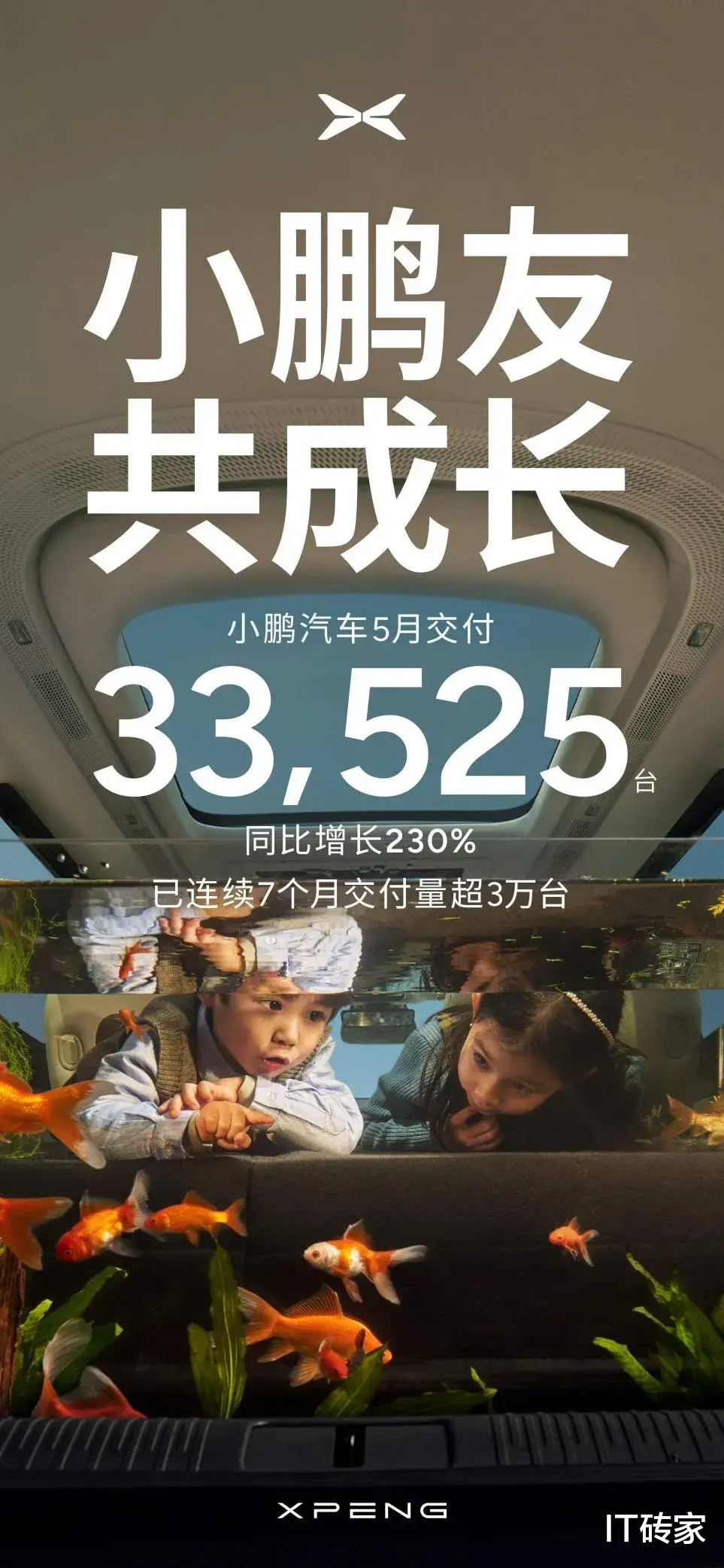 5月汽车销量出炉,谁是造车新势力销量担当?