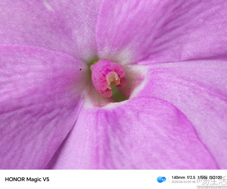 荣耀Magic V5评测:既薄又强,重新定义AI旗舰大折叠