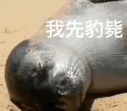 苹果WWDC25，新产品通通没有，却砸你一脸玻璃？