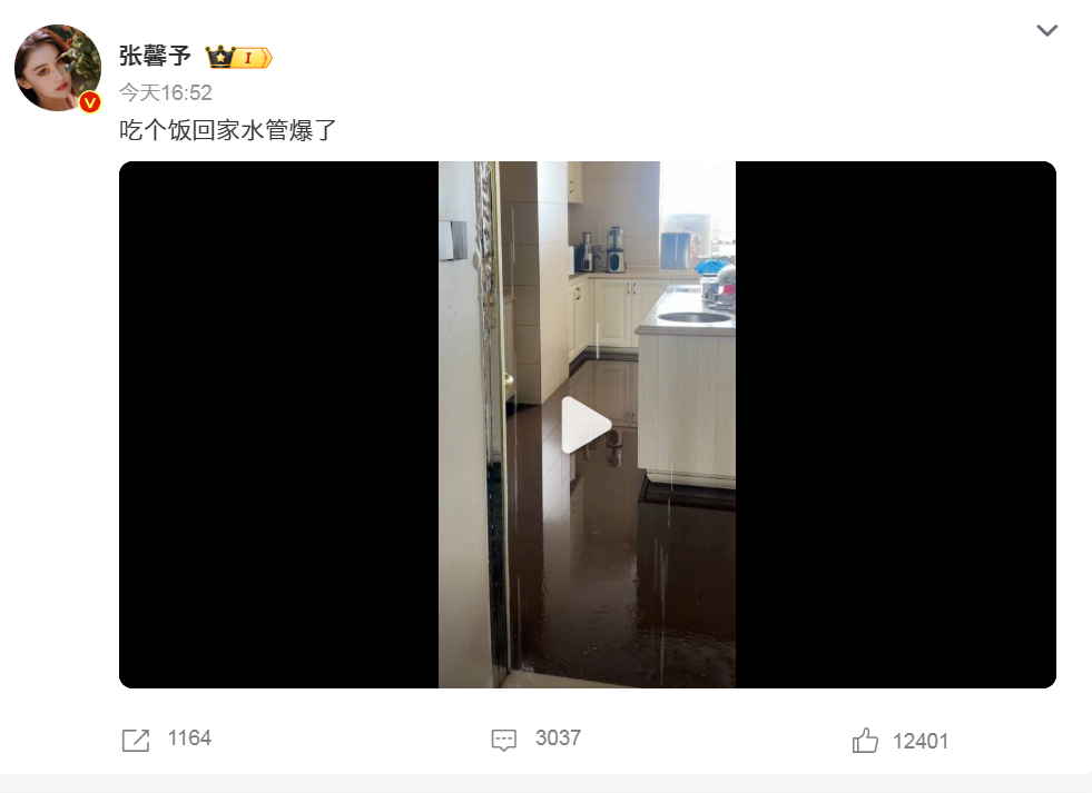 张馨予家被水淹了,想找个人修下水道,网友主动报名