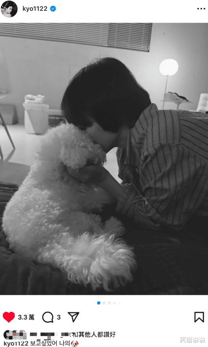 宋慧乔晒回家后第一波照片：拥抱爱犬好温馨，亲吻Ruby好宠溺