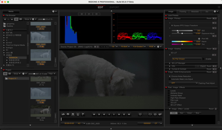 13999元,RED R3D NE视频!尼康ZR引爆视频机市场了