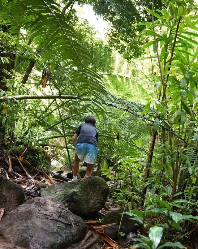 孙俪带儿女爬山也不忘背着华伦天奴包,这是把代言做到了极致啊