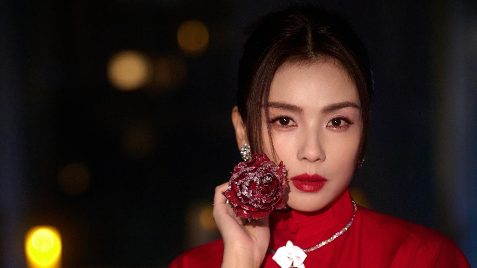 女明星，刘涛，优雅女神