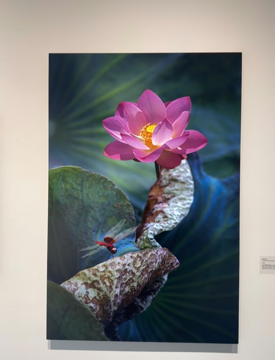 霍启山与继父罗康瑞合照曝光，笑容灿烂很帅气，罗康瑞站C位