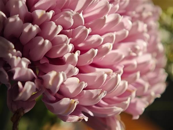 蘋果全線告別64GB配置