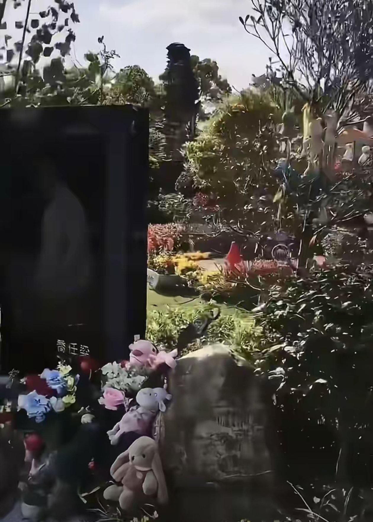 乔任梁墓地近照引热议!粉丝九年不忘跪拜献花,父亲白发照看哭众人!