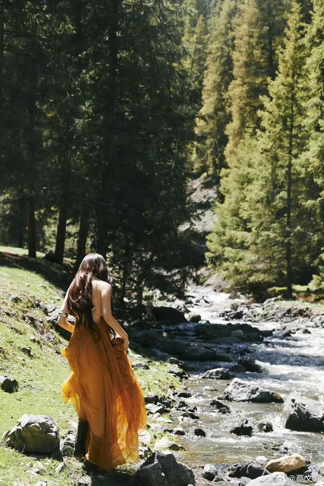 蔡文静黄色露背长裙