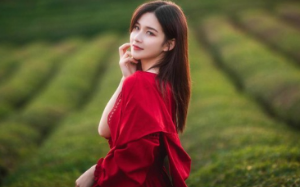 前夫为白月光逼我离婚净身出户，我反手入职他死对头的公司让他破产