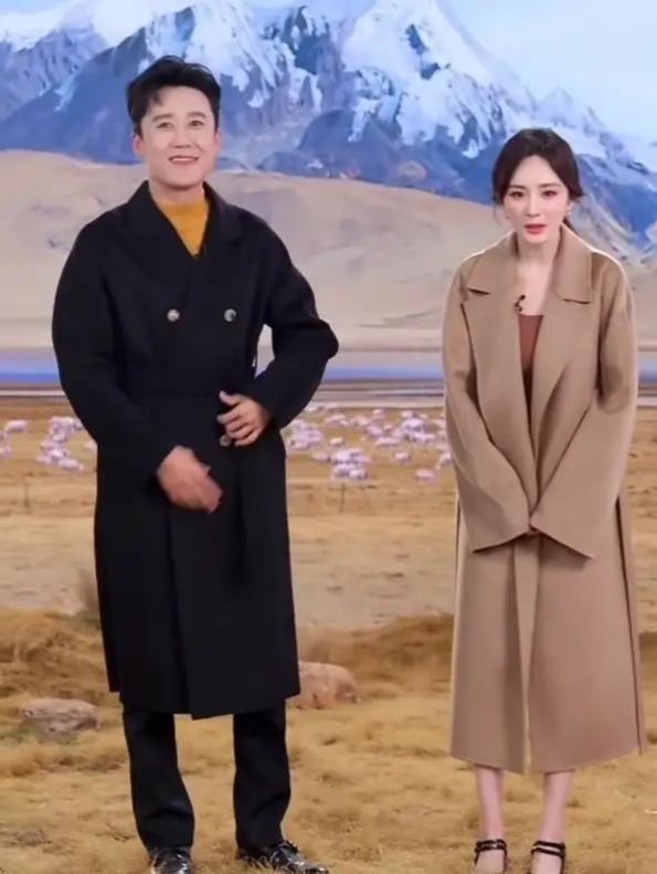 杨幂三只小山羊直播造型吸睛 驼色长款大衣时尚又高级