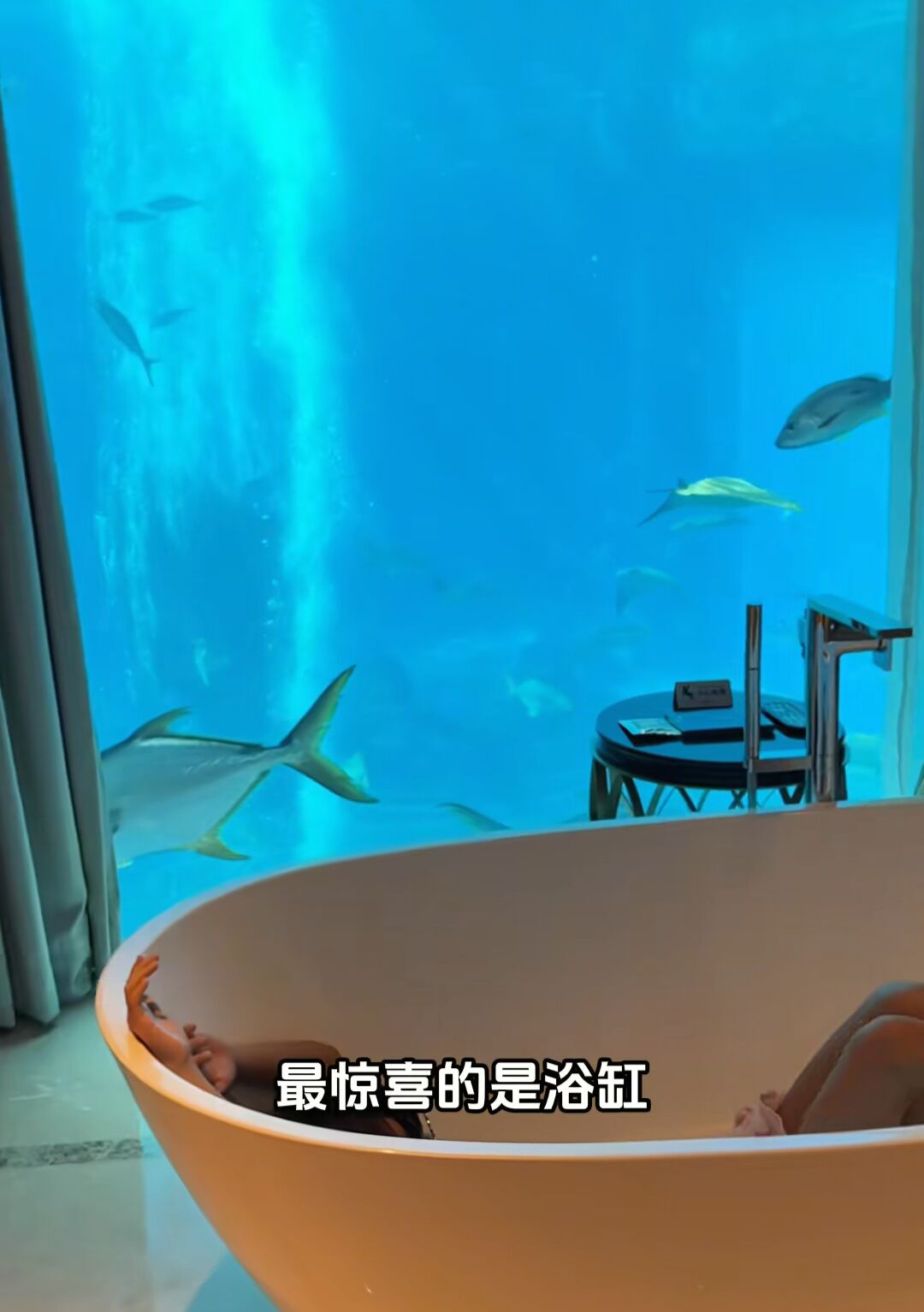 伊能静带女儿探班老公，秦昊出手阔绰，安排家人住昂贵的水底套房