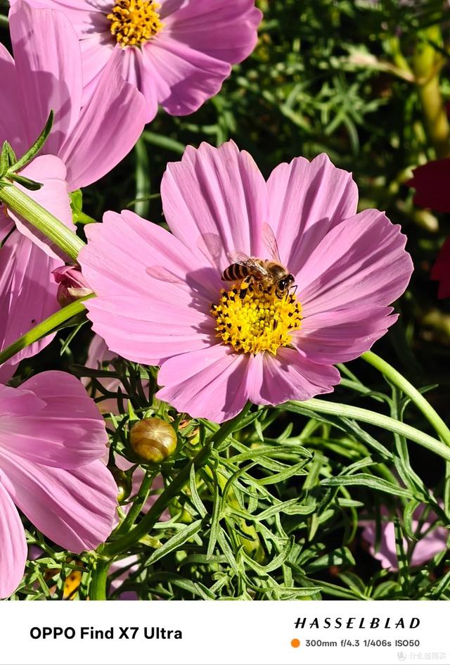 消费降级从买二手数码产品开始