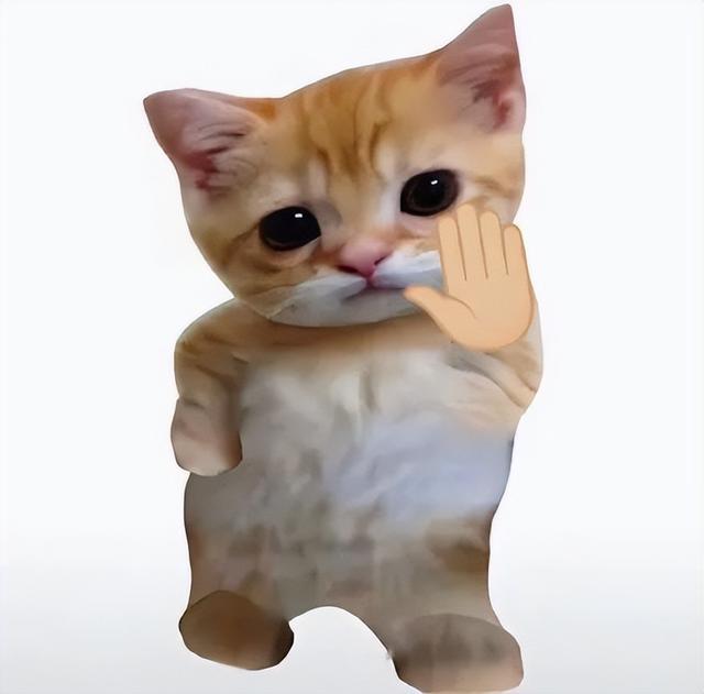 250W+7500mAh！这波中端机大战，蛮有意思的