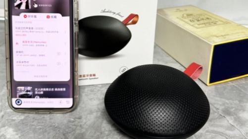 哪种音箱音质最好？2025年10大热品蓝牙音箱解析，助你精准抉择！