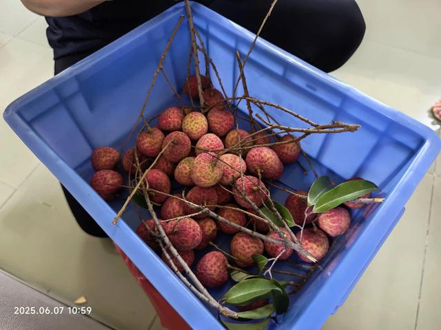 小米15使用体验对比小米14u下降了挺多的