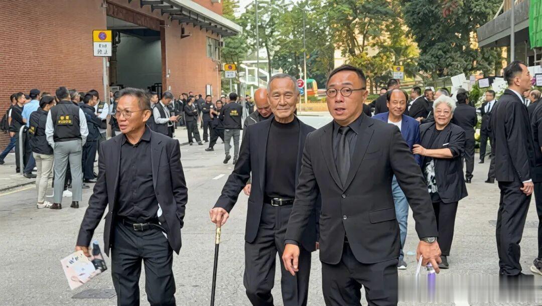 向府治丧！向太陈岚与儿子向佐悲痛致祭，大批反黑组警员现场戒备