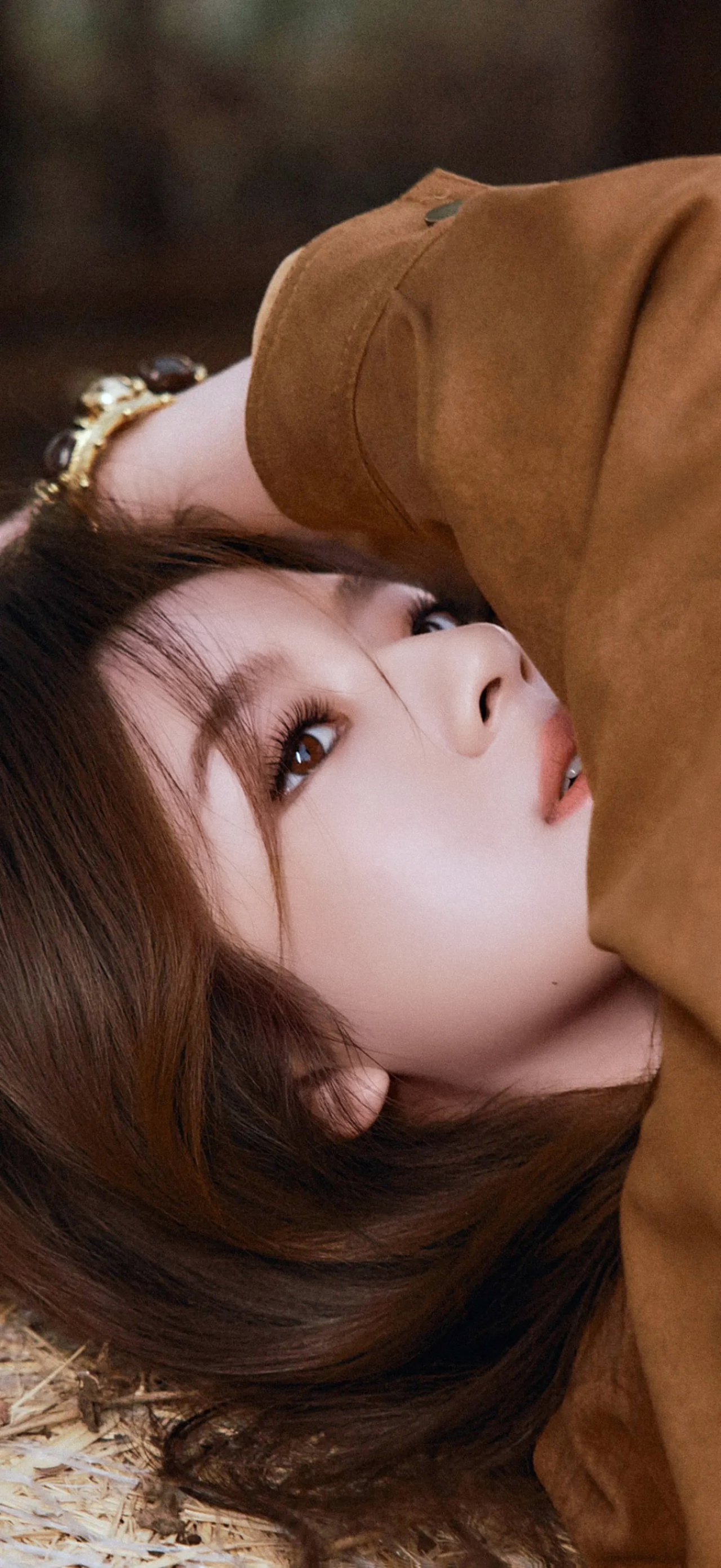 精选明星壁纸（572）李兰迪