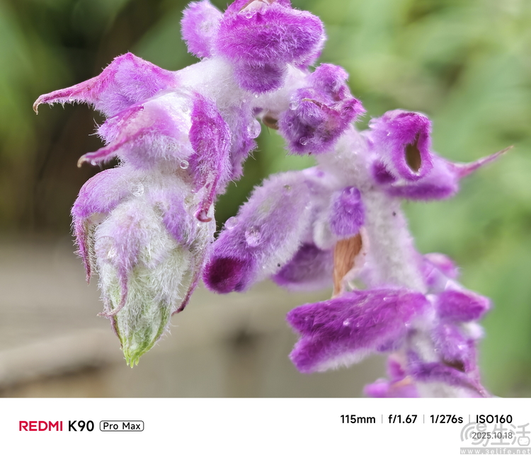 REDMI K90 Pro Max首測：更符合性能玩家喜好的“超大杯”