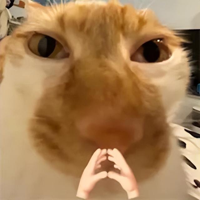 499元，小米刚刚公布的6000mAh新品，有点骚啊