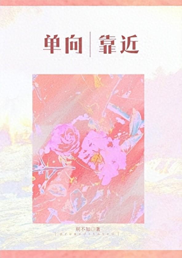 现代豪门言情文——《单向靠近》