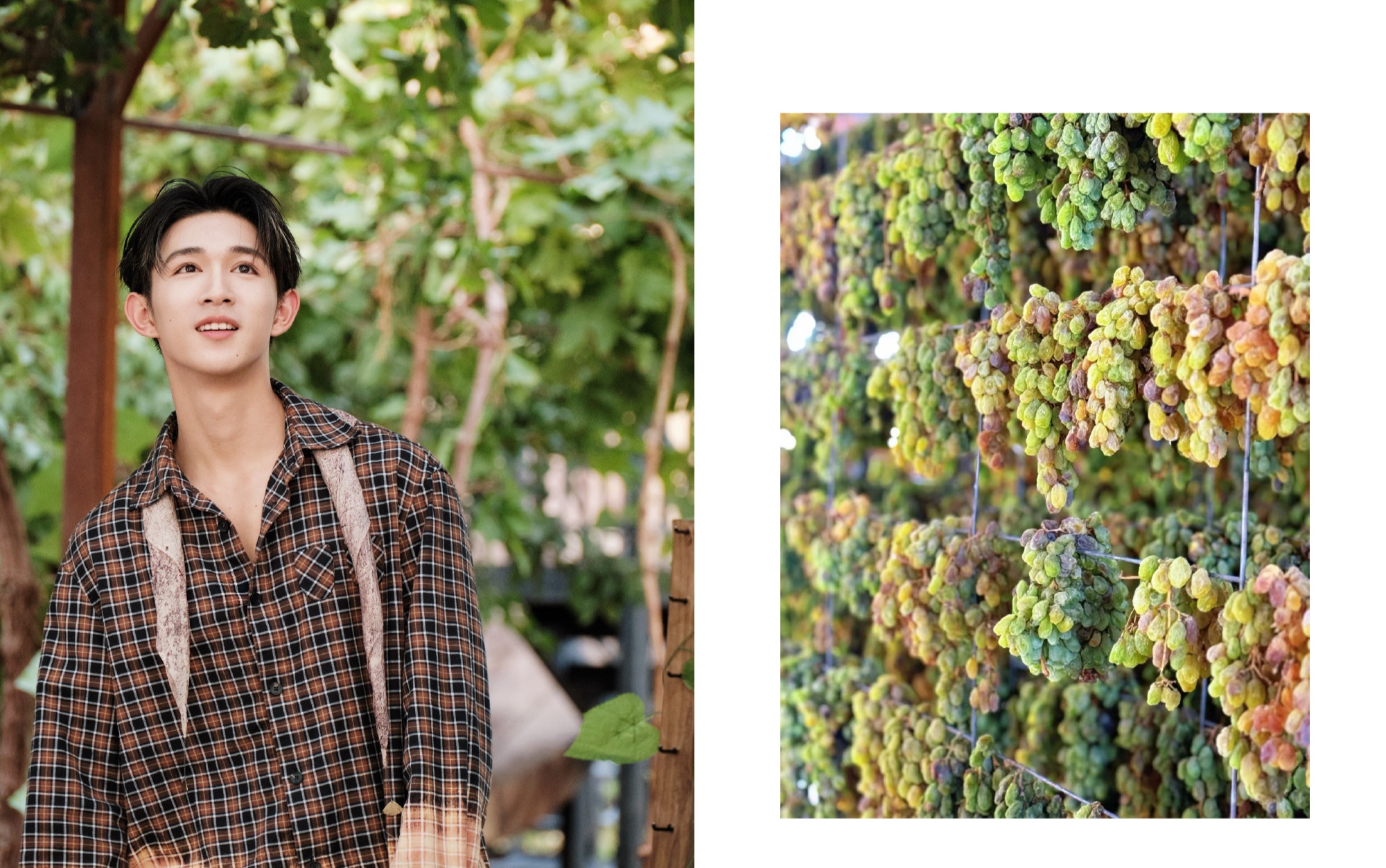 19岁男星荣梓杉被曝出轨打人后，有网友下场锤他，时间地点对上了