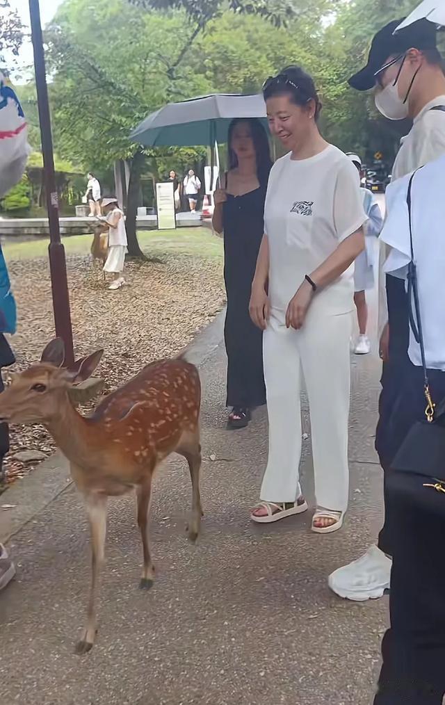 54岁汪峰和35岁森林北出国游玩，她穿黑长裙身材真好，孩子成亮点