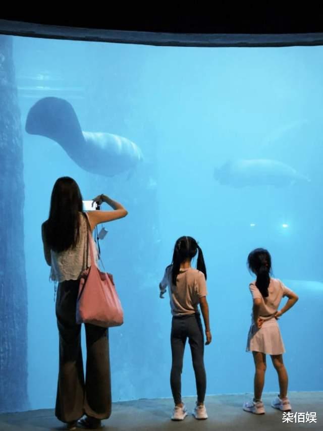 张子萱济州岛被偶遇,42岁仍是萌妹脸,但眉压眼明显像刚打完肉毒