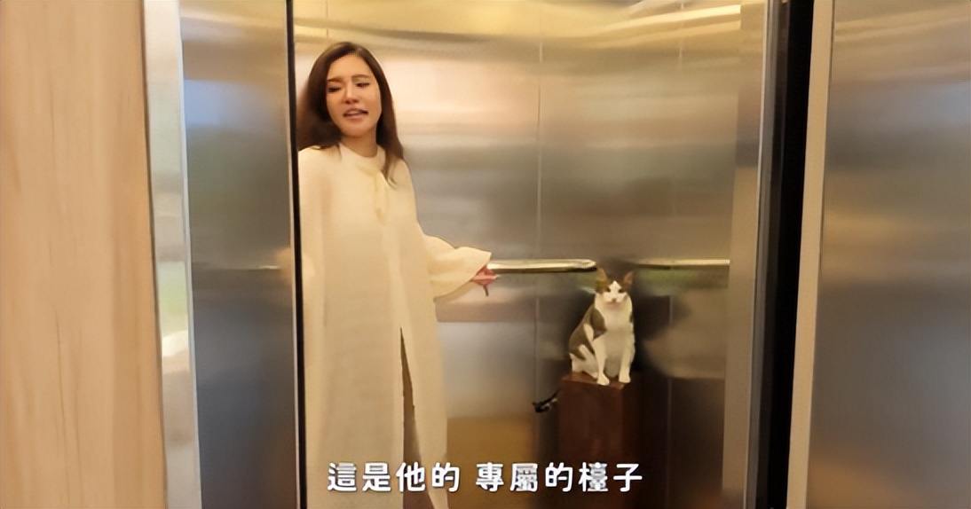 35岁谢依霖近况曝光,丈夫患病,独自带俩娃,晒990平豪宅还哭穷