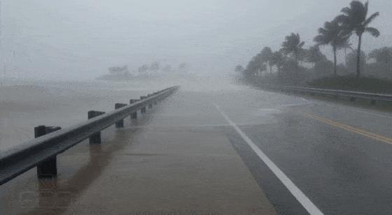 谷歌深夜放出「創世引擎」Genie 3，一句話秒生宇宙，終極模擬器覺醒