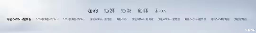 新车：轿车/SUV双旗舰，定名海豹08、海狮08，一季度亮相，爆款？