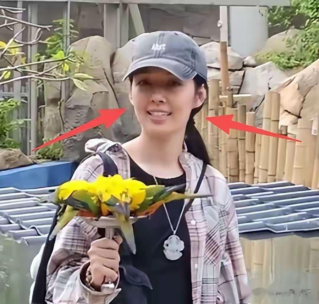 郭碧婷自曝豪门婚姻：向太给很多钱，早和老公分居，生孩子没人逼