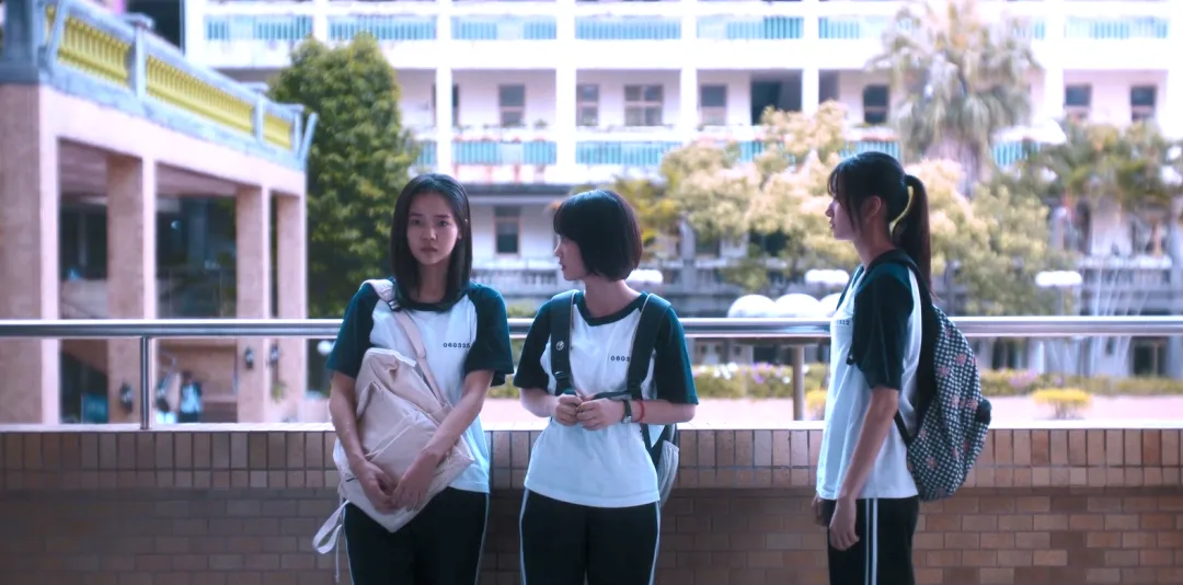 纯纯诈骗剧，浪费了一票女神