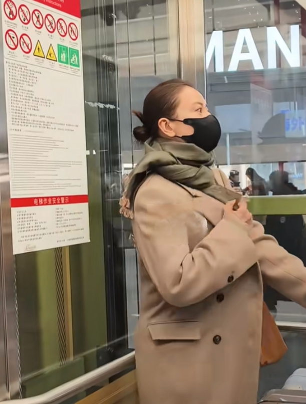 高圆圆机场路透,盘发搭驼色大衣,美貌与气质并存