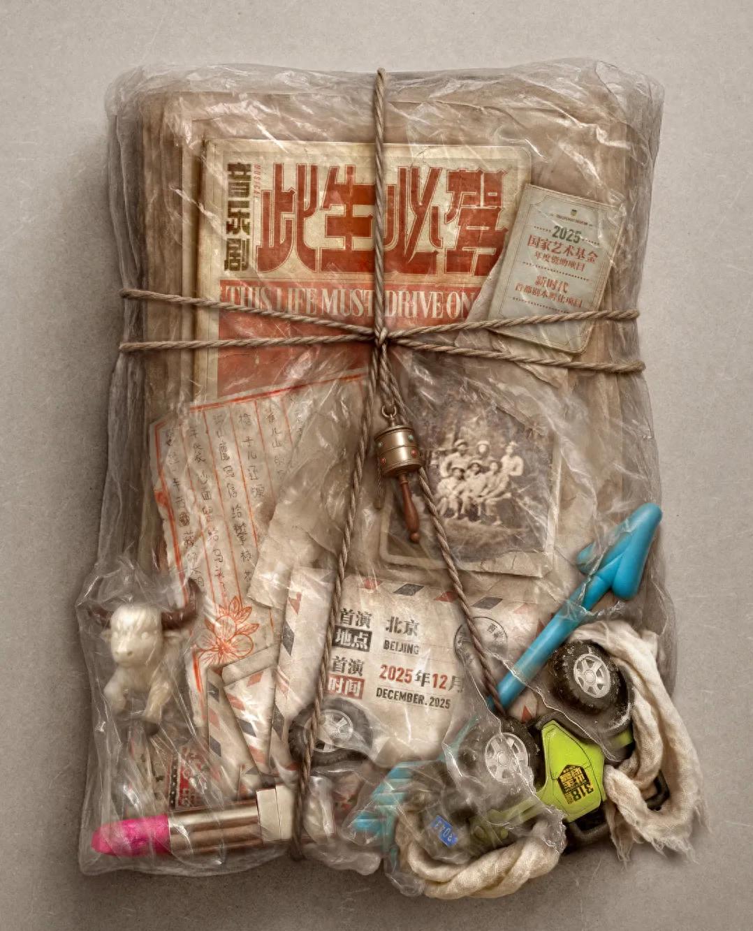 《此生必驾》发布会,谭维维脸肿、江珊自然老去、丁真主动让C位