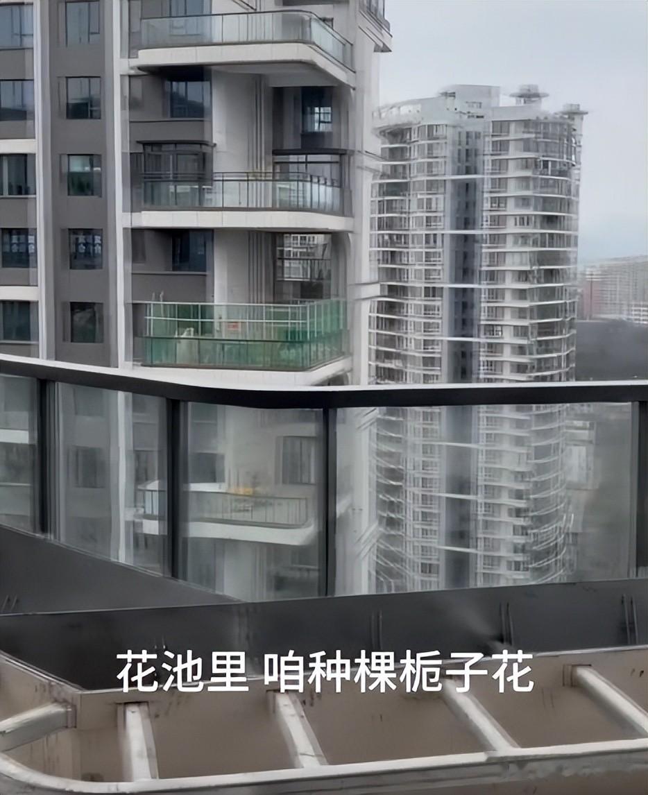 刘孜给父母在老家遵义买房，上百平装修很用心，爸妈反应让她失望