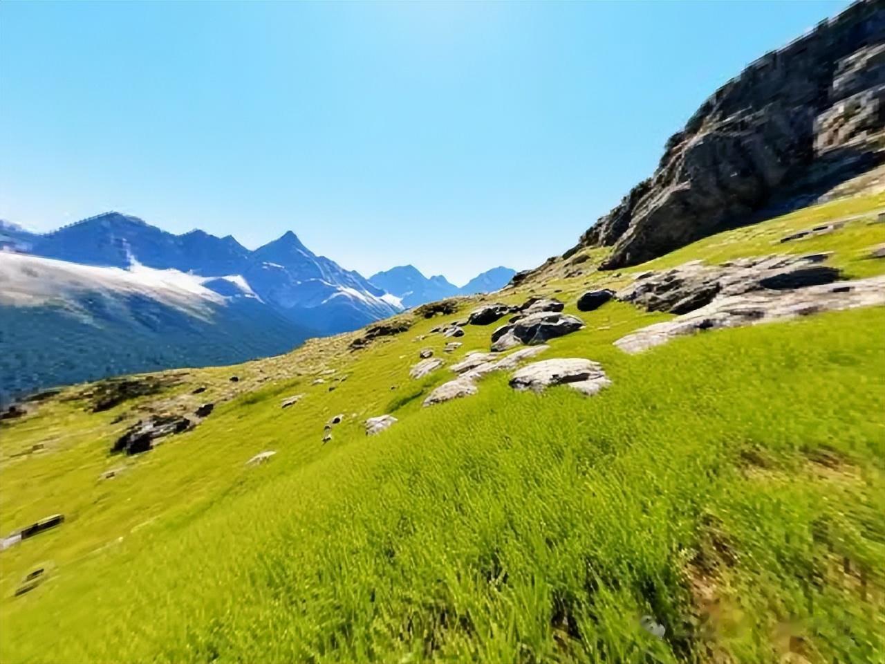 拿下3D生成行業新標桿！昆侖萬維Matrix-3D新模型鯊瘋了