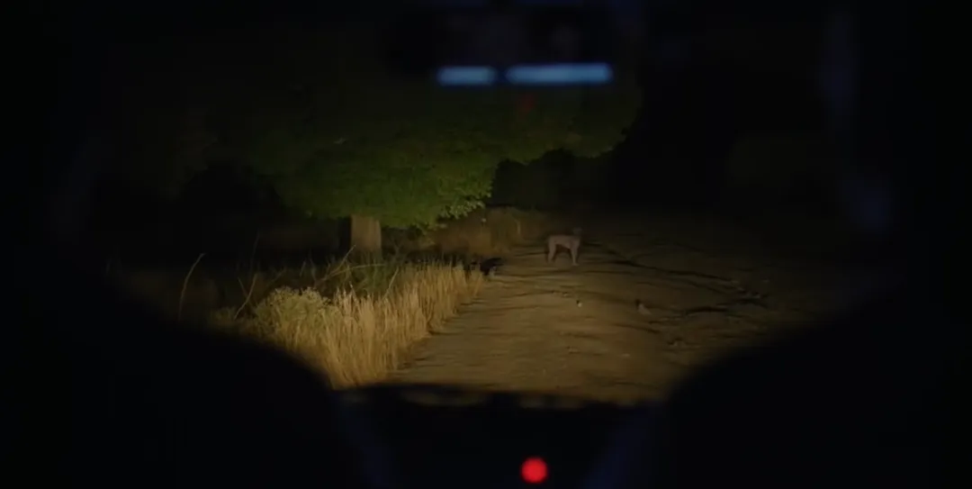 这被封杀的顶流，终于复出了