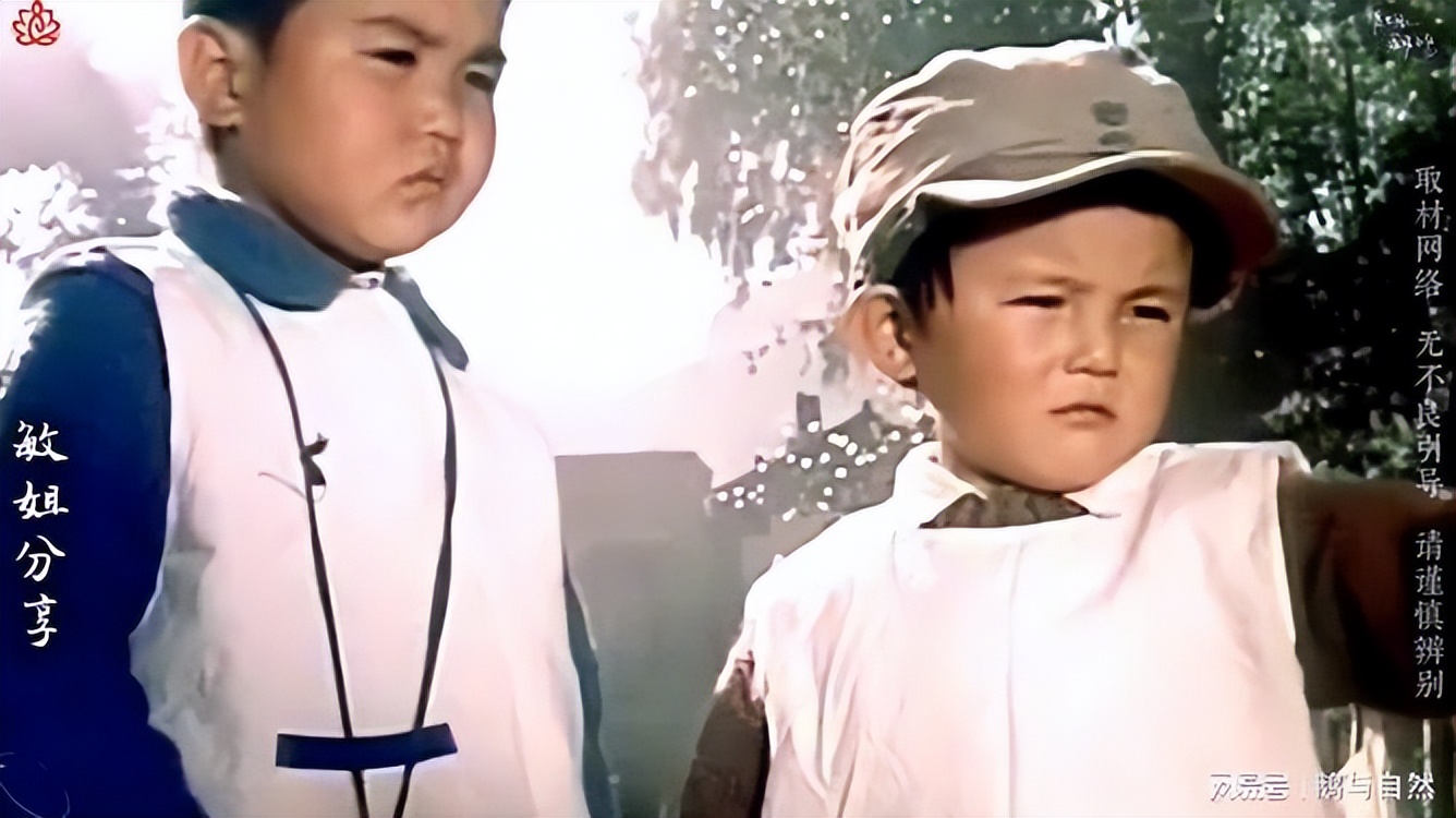 2岁时就火遍全国，却因身高被学校拒之门外，如今49岁已成导演