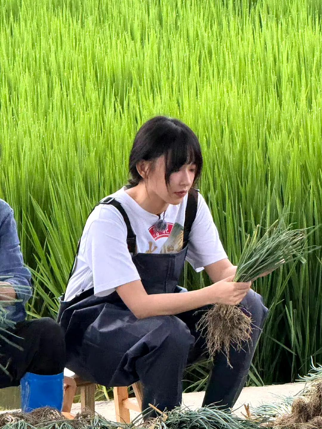 程潇你这张脸真的太权威了，高清镜头下都如此美丽 ???