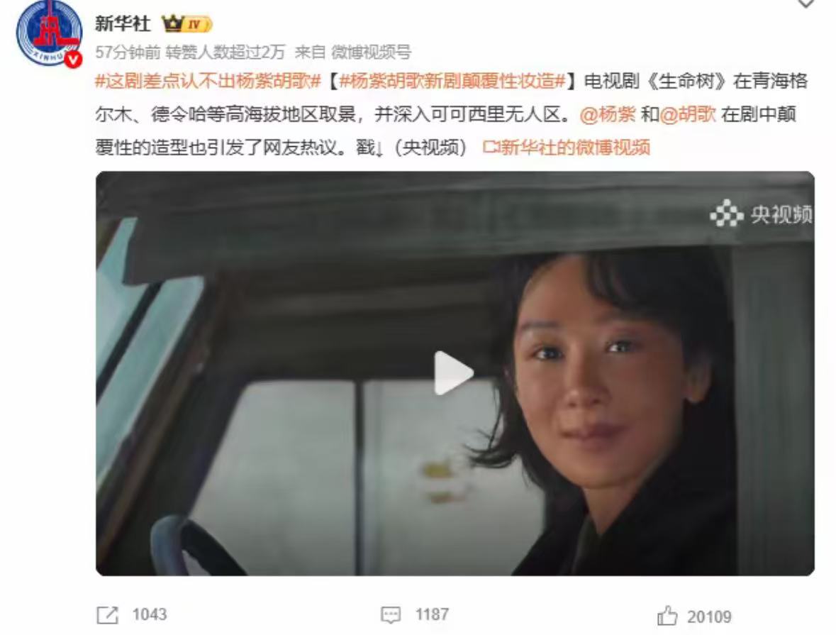 新华社12字锐评炸裂全网:杨紫胡歌告诉流量明星什么叫真演员