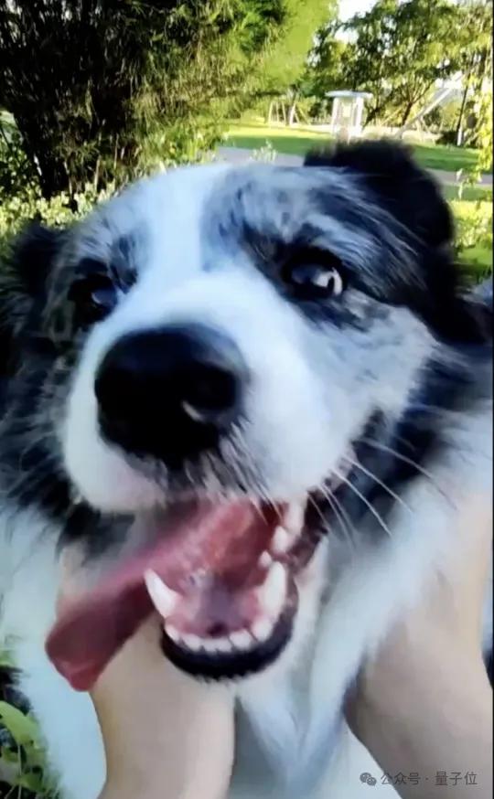 魅族AI眼镜1999元起售：拍照翻译付款全都会，39g重