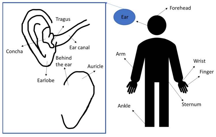 獨家專訪 AirPods 團隊：一只小小的耳機，如何學會追蹤 50 種運動？