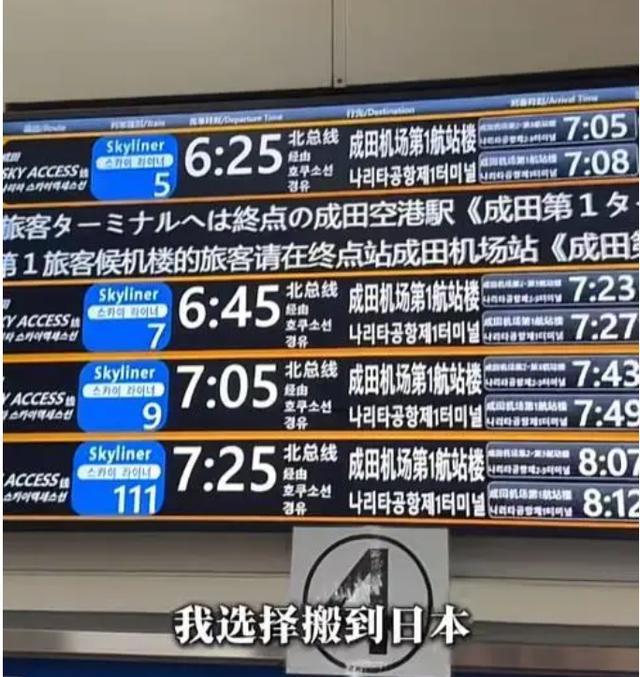 28岁从央视辞职，39岁移居日本，大赞比国内好，如今她过得怎样了