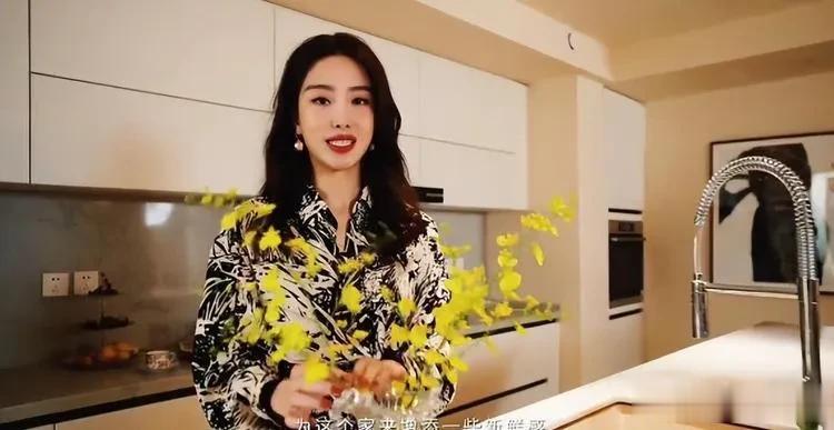 杨采钰北京300平豪宅曝光，没有宝宝生活痕迹，她的生活我的梦