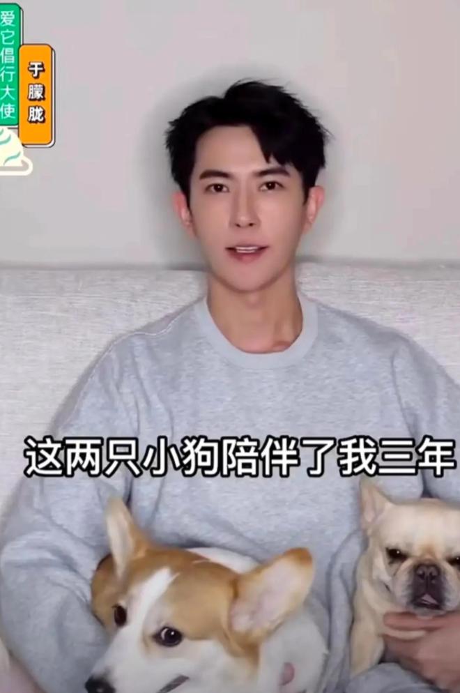 终于有了3个好消息！于朦胧离世四天 好友晒聊天记录 狗狗有了去处